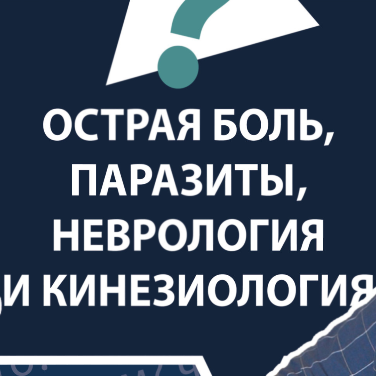 МНЕ ТОЛЬКО СПРОСИТЬ?! — Страница 2 — Академия медицинской кинезиологии  Васильевой